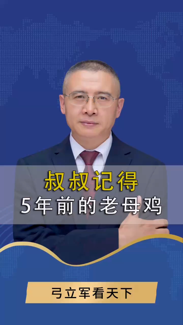 记得5年前的老母鸡