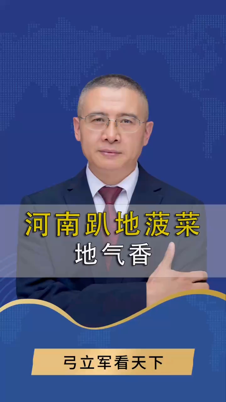 趴地菠菜地气香