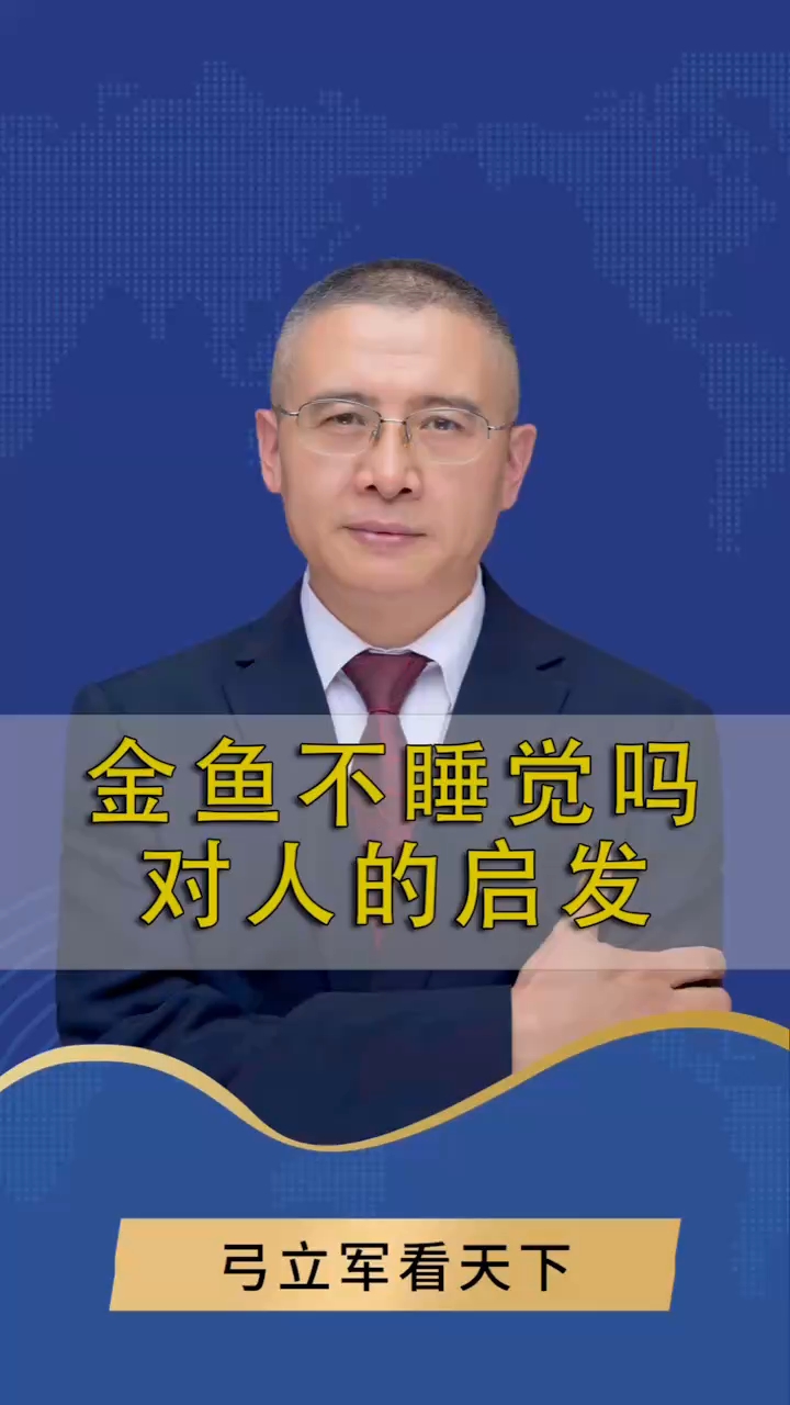 金鱼睡觉吗