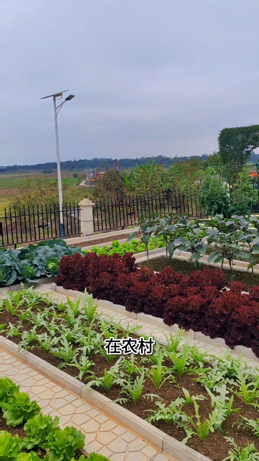 菜沟板改造美丽小菜园