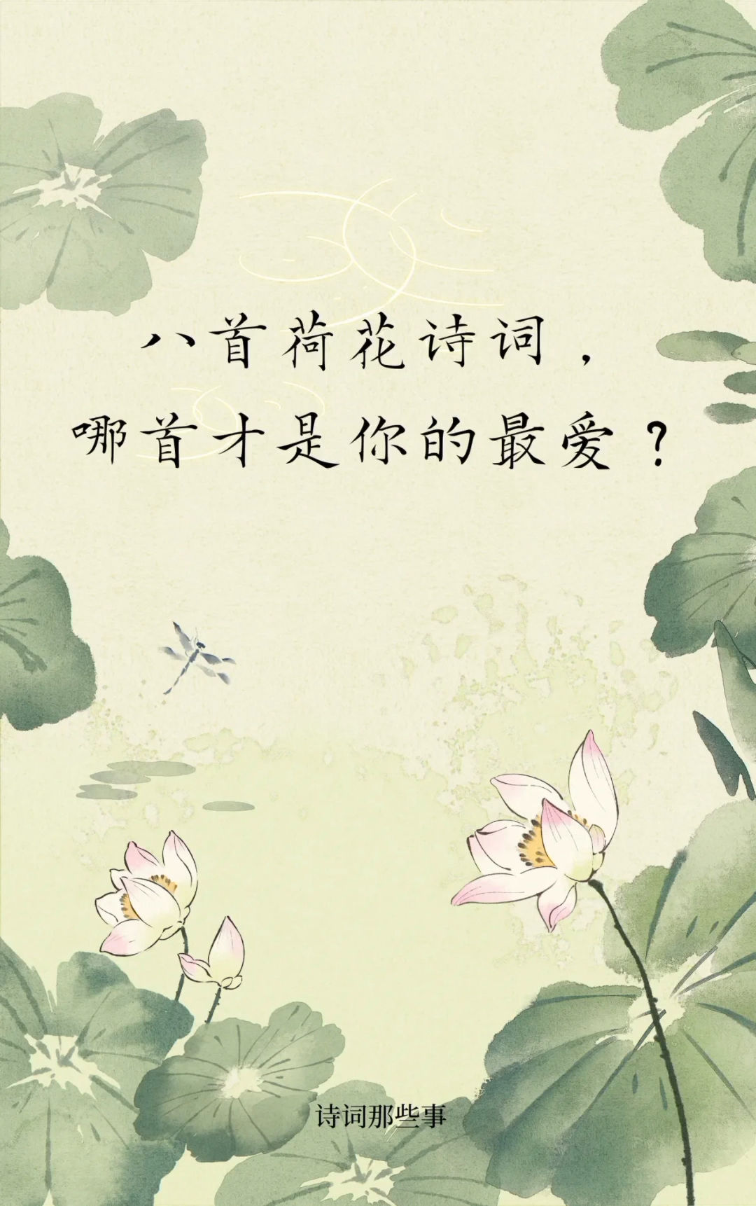 八首关于“荷花”的诗词,你最喜欢哪首?