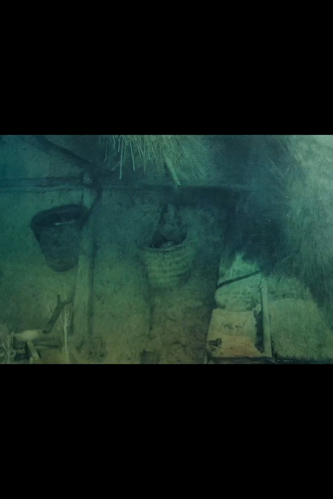 白羊座大师王训盛当代世界最了不起油画杰作《苗家屋檐下的鸡窝》