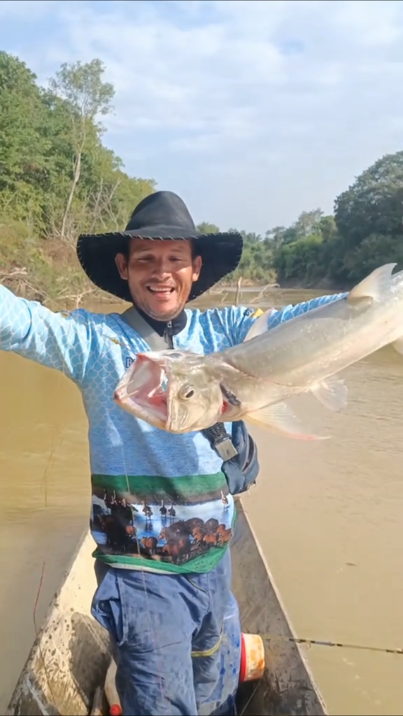 钓到一条凶猛的暴牙哥巨水狼脂鲤