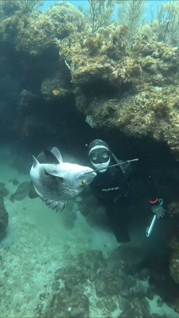 国外小伙潜入海底用射鱼器捕鱼