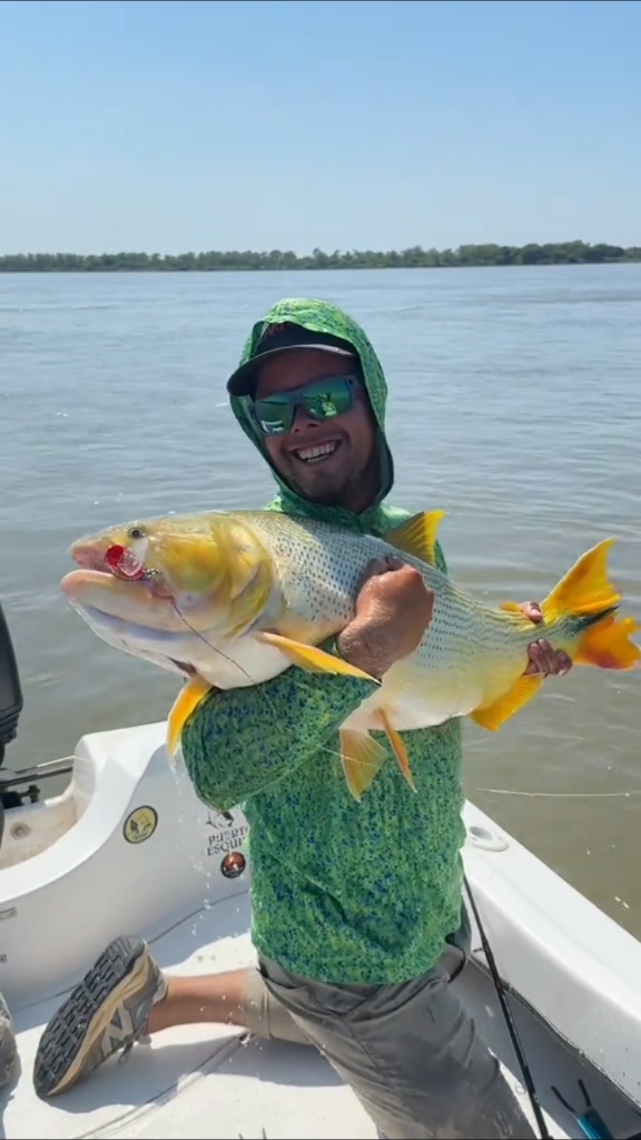 国外老哥钓到一条巨大的黄金河虎鱼