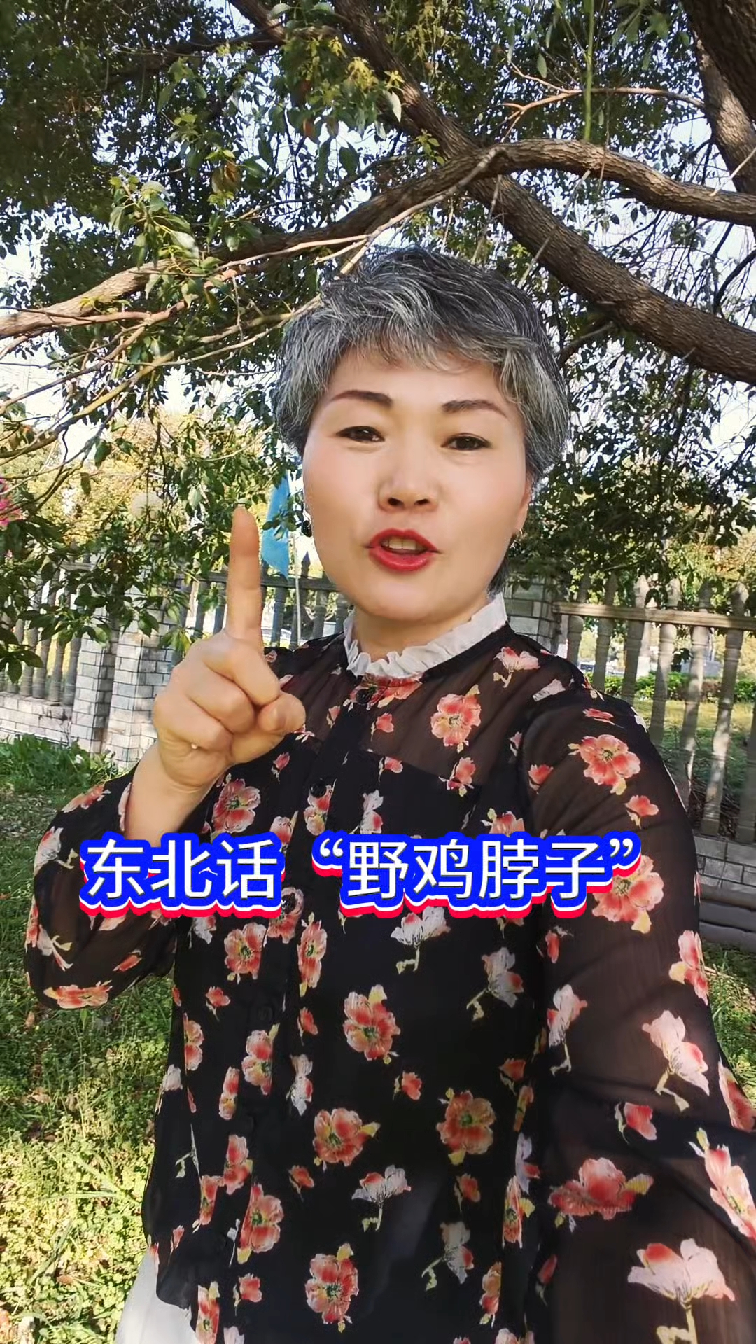 东北话,野鸡脖子,你知道是啥不