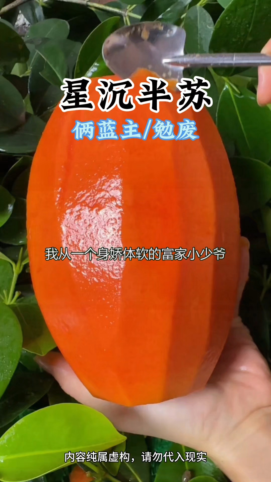 我从一个身娇体软的富家小少爷,穿到了大饥荒的80年代