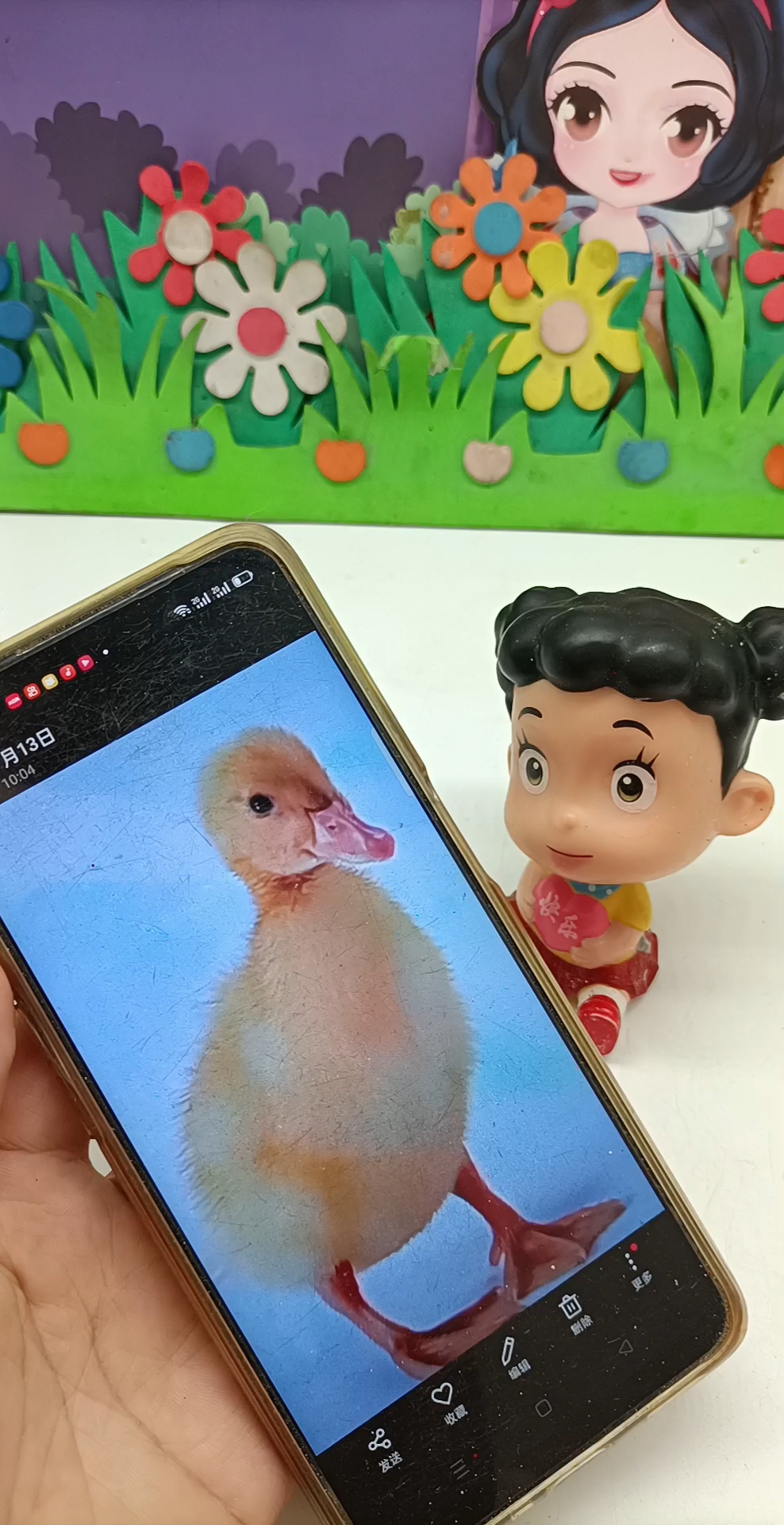 这是什么,鸭鸭。