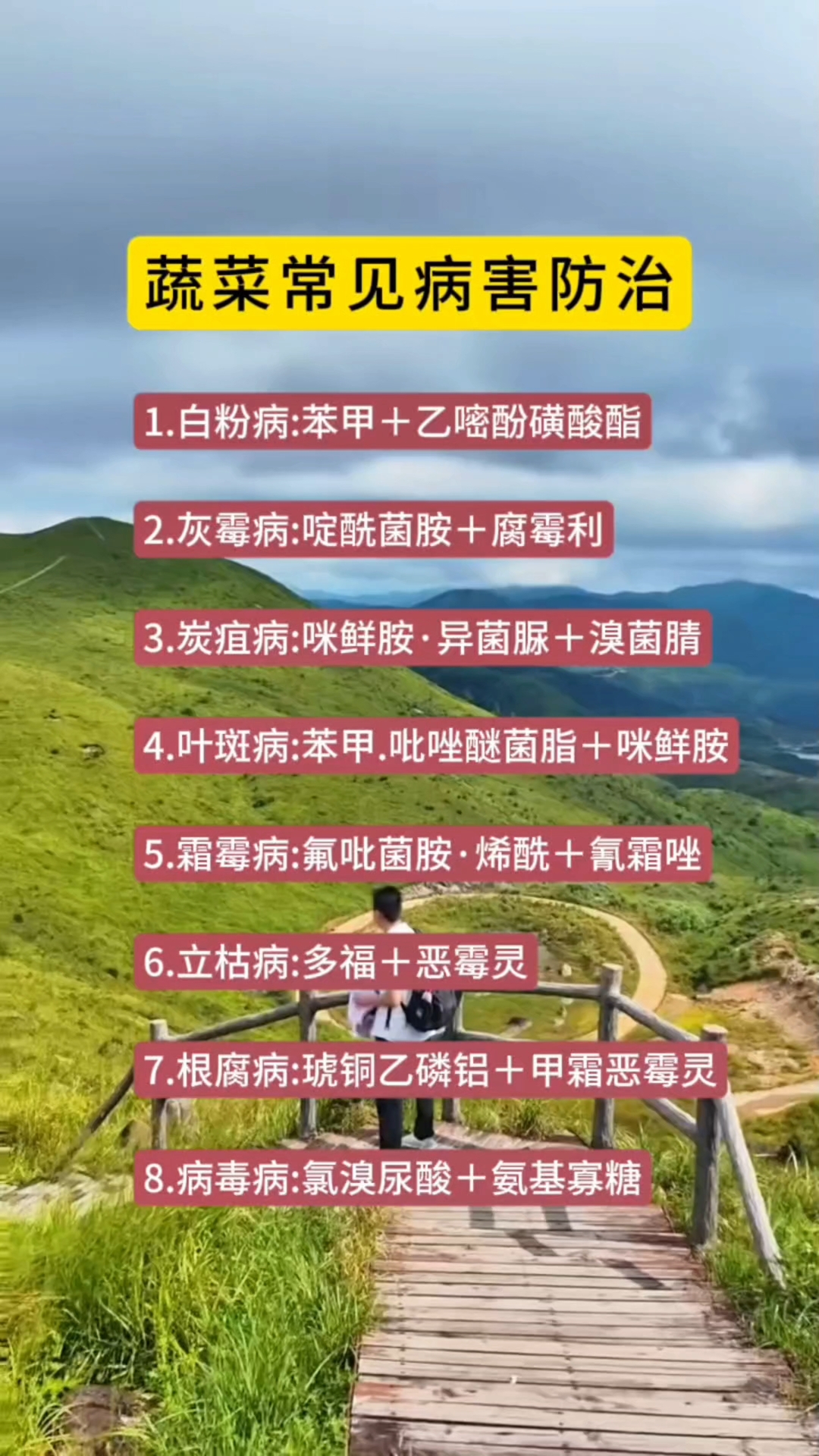 蔬菜常见8大病害防治配方推荐#三农种植 #病害防治 #知识分