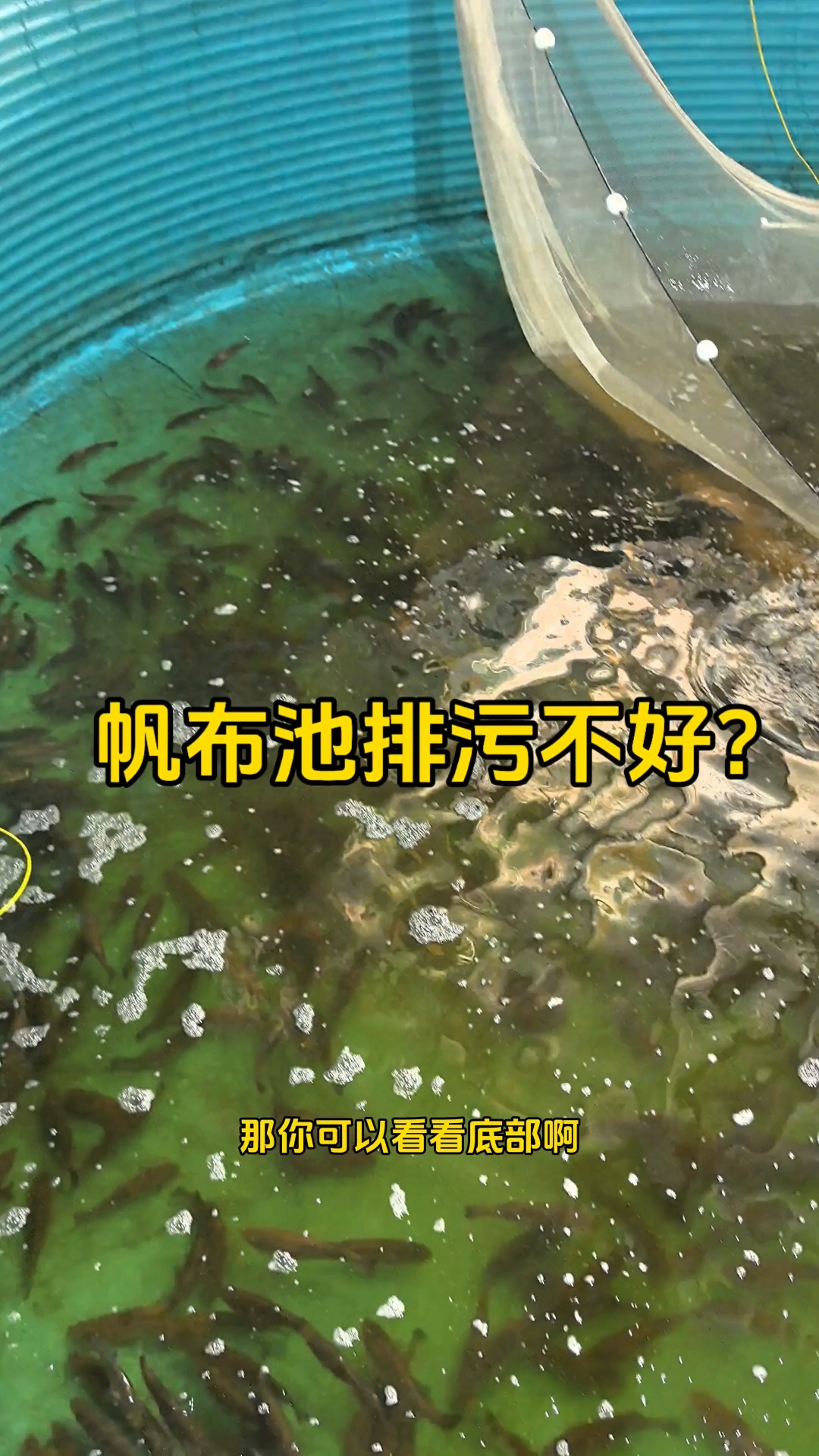 工厂化养殖系统用什么鱼池