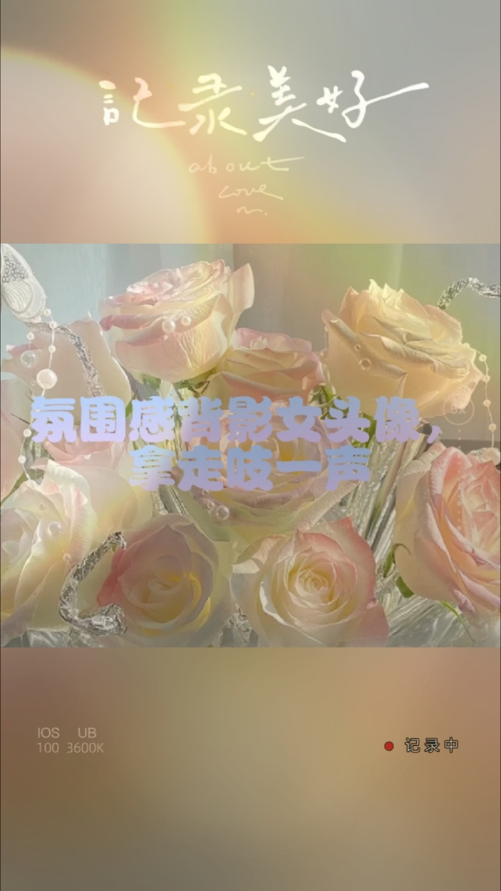 氛围感女头像(背影),拿走吱一声!!