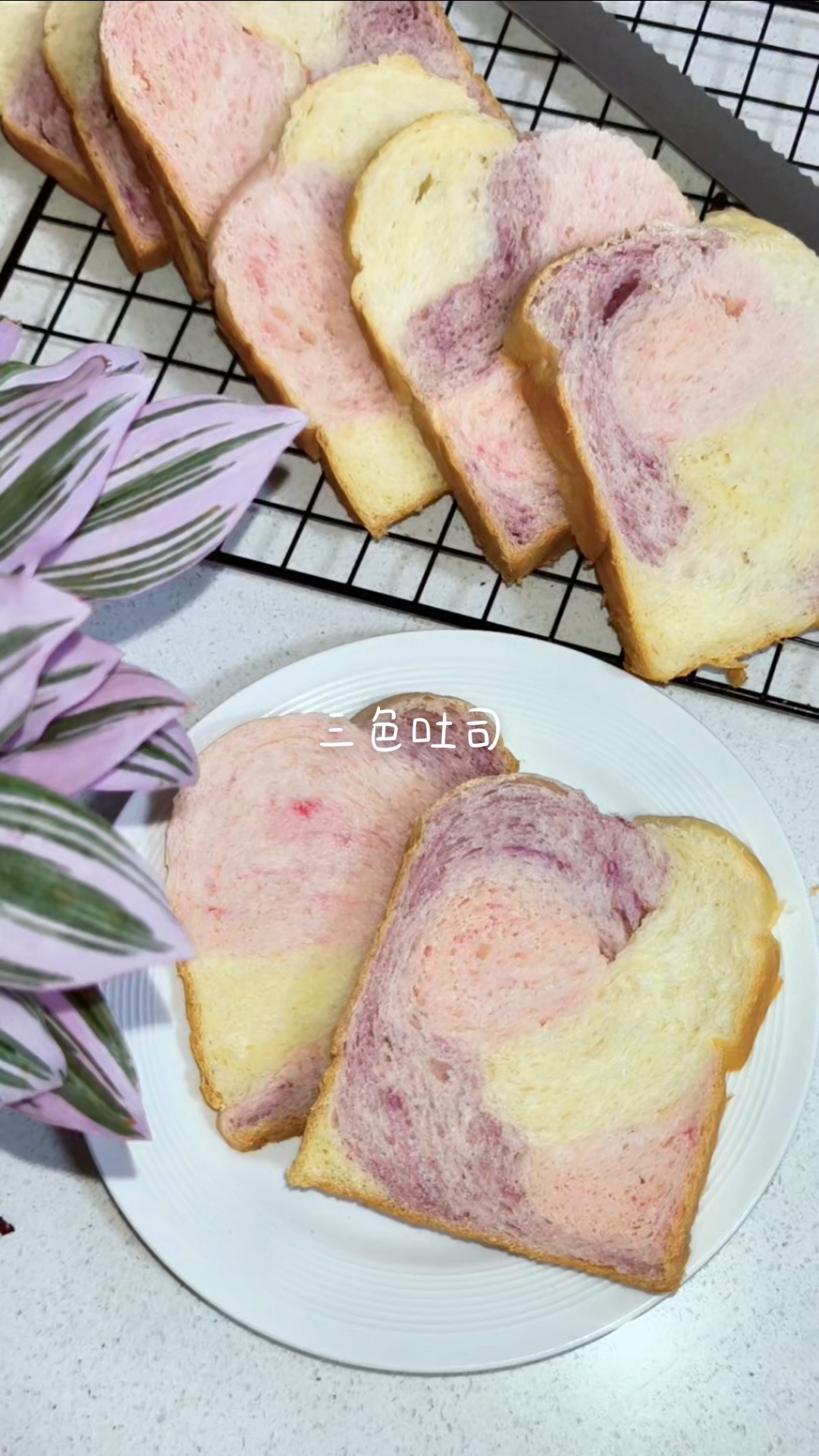 颜值与美味并存的三色吐司,早餐来一片,心情也跟着变好了呢。