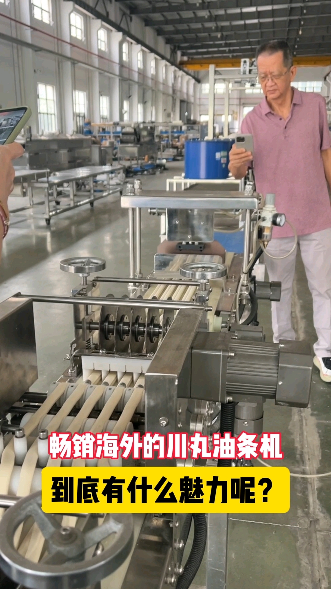 畅销海外的川丸油条机