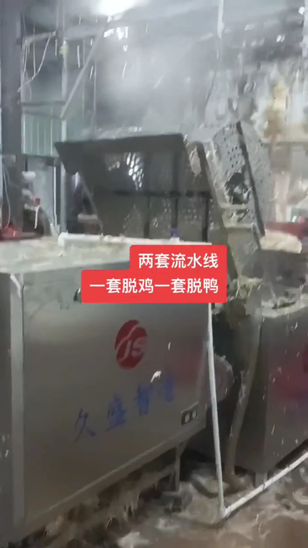 怎么杀鸡鸭鹅又快又好又省事?家禽屠宰流水线全解决!