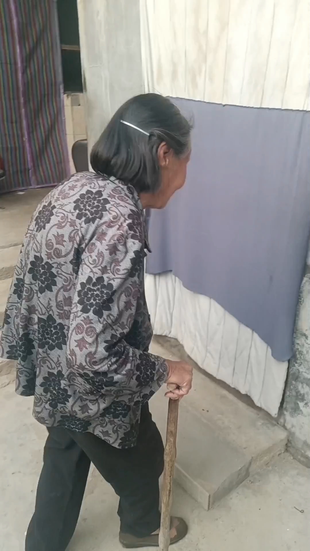 一副齐白石的四条屏