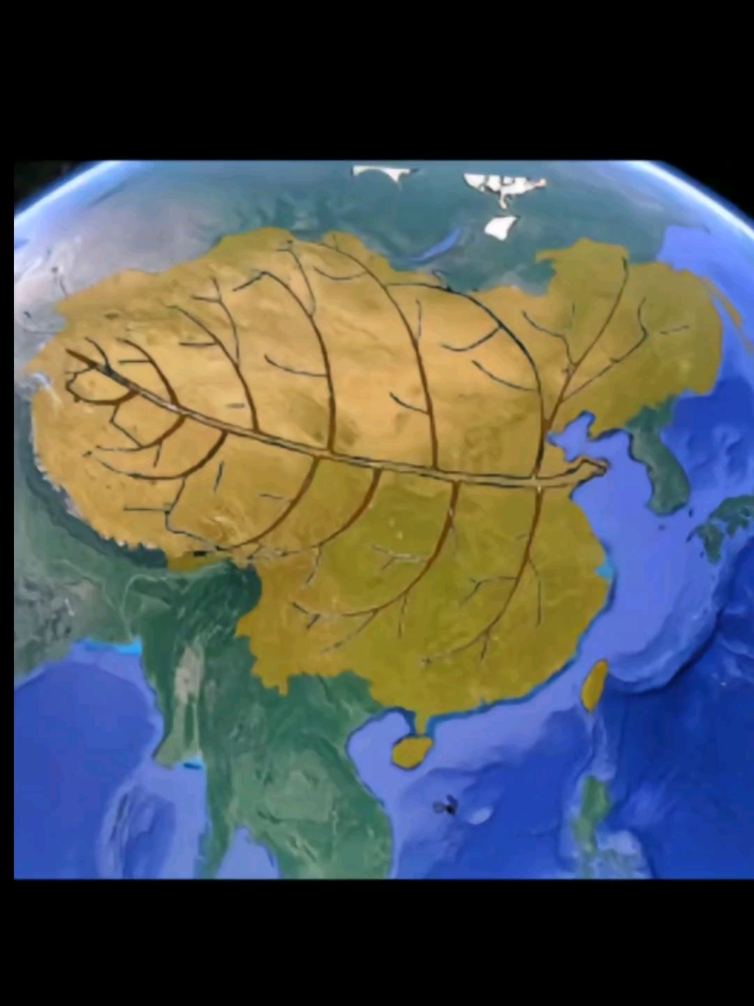 世人只识雄鸡图,何人还记海棠泪!