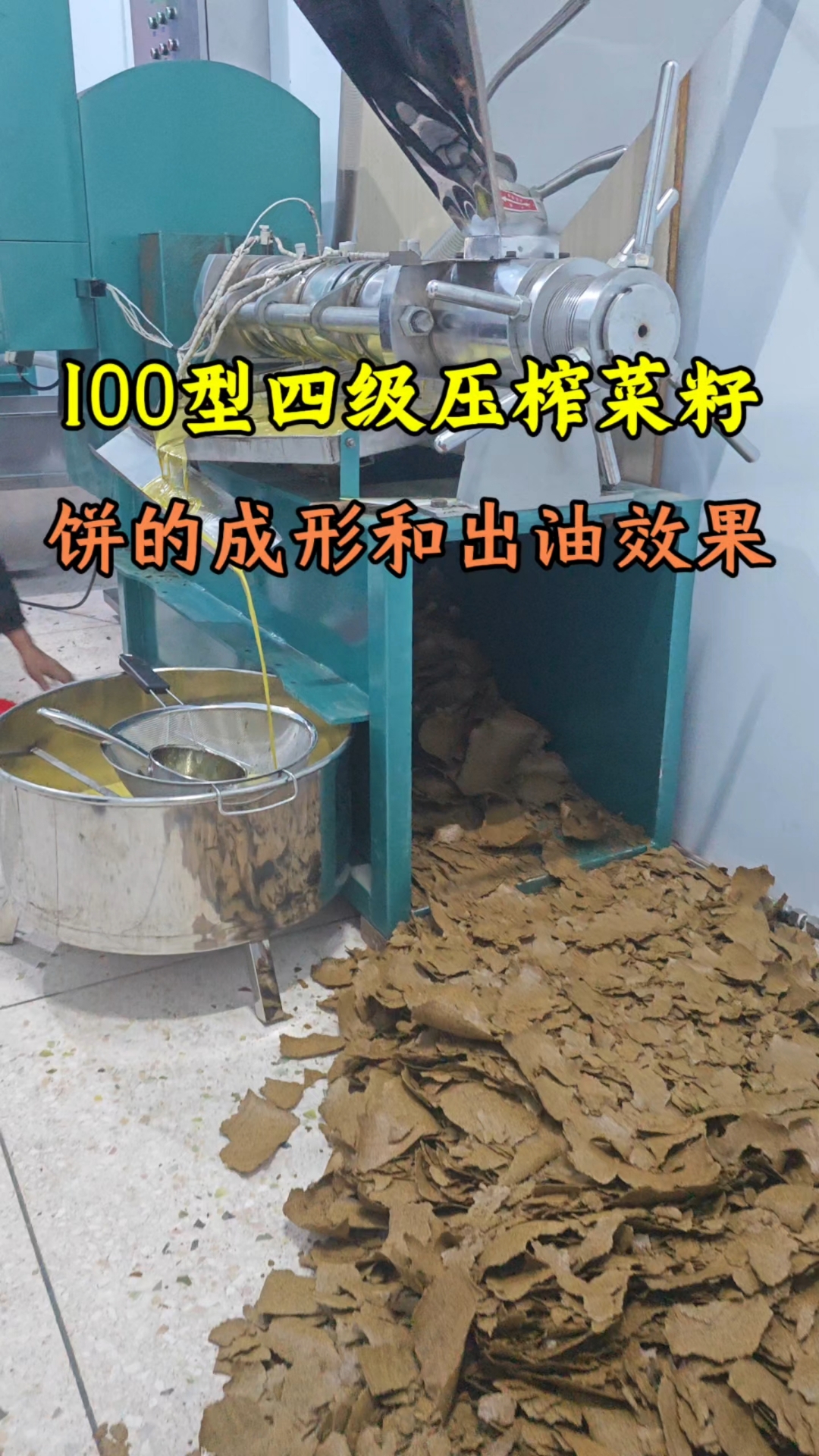油坊用四级压的机器加工菜籽油