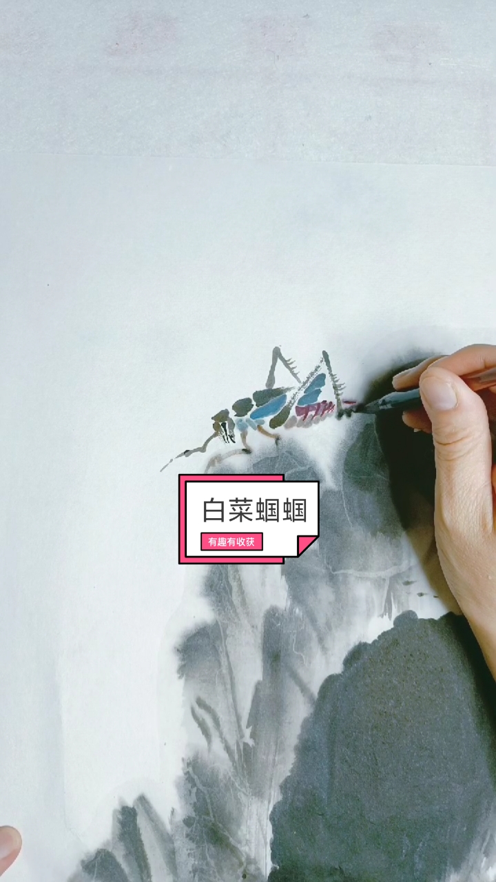 画白菜蝈蝈,朋友们知道寓意吗?