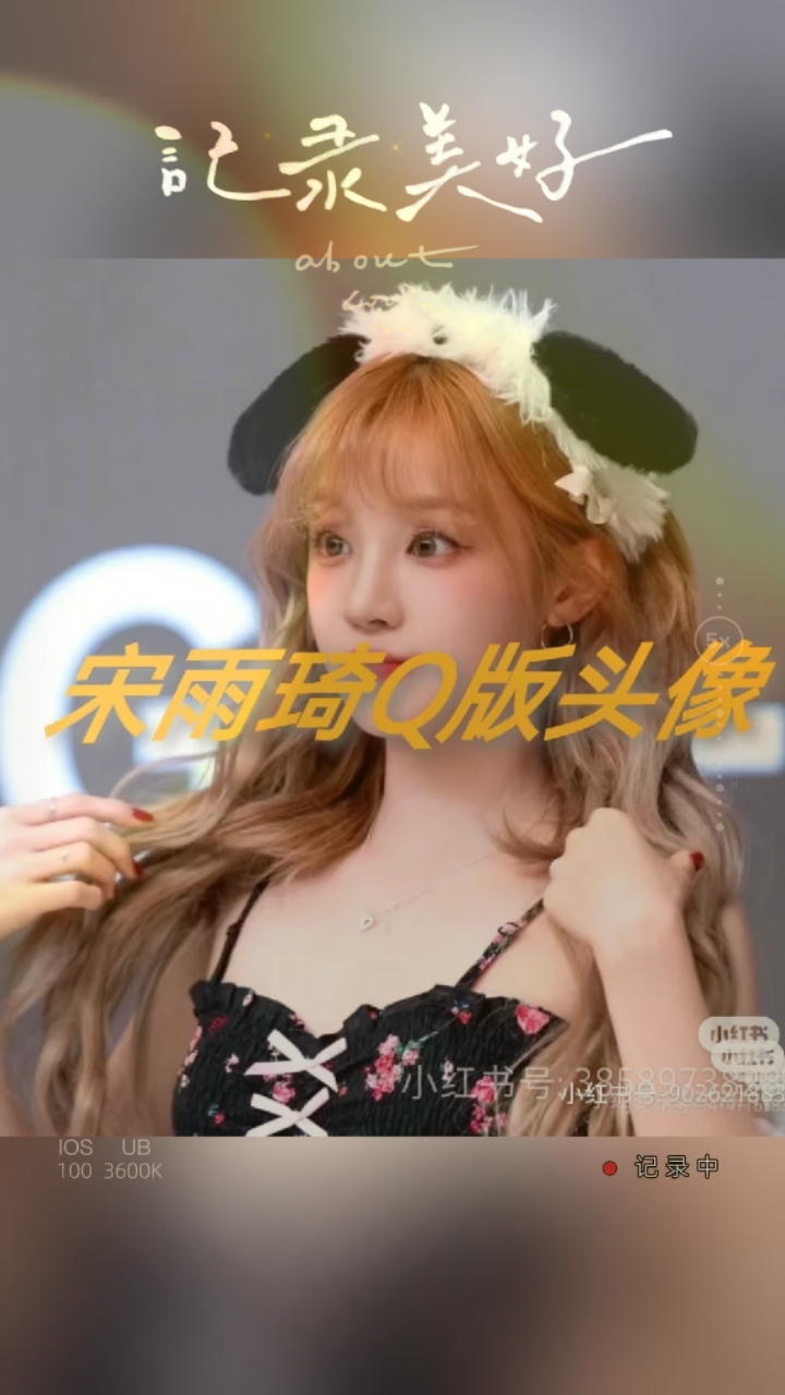 宋雨琦Q版头像来了,太可爱了吧!