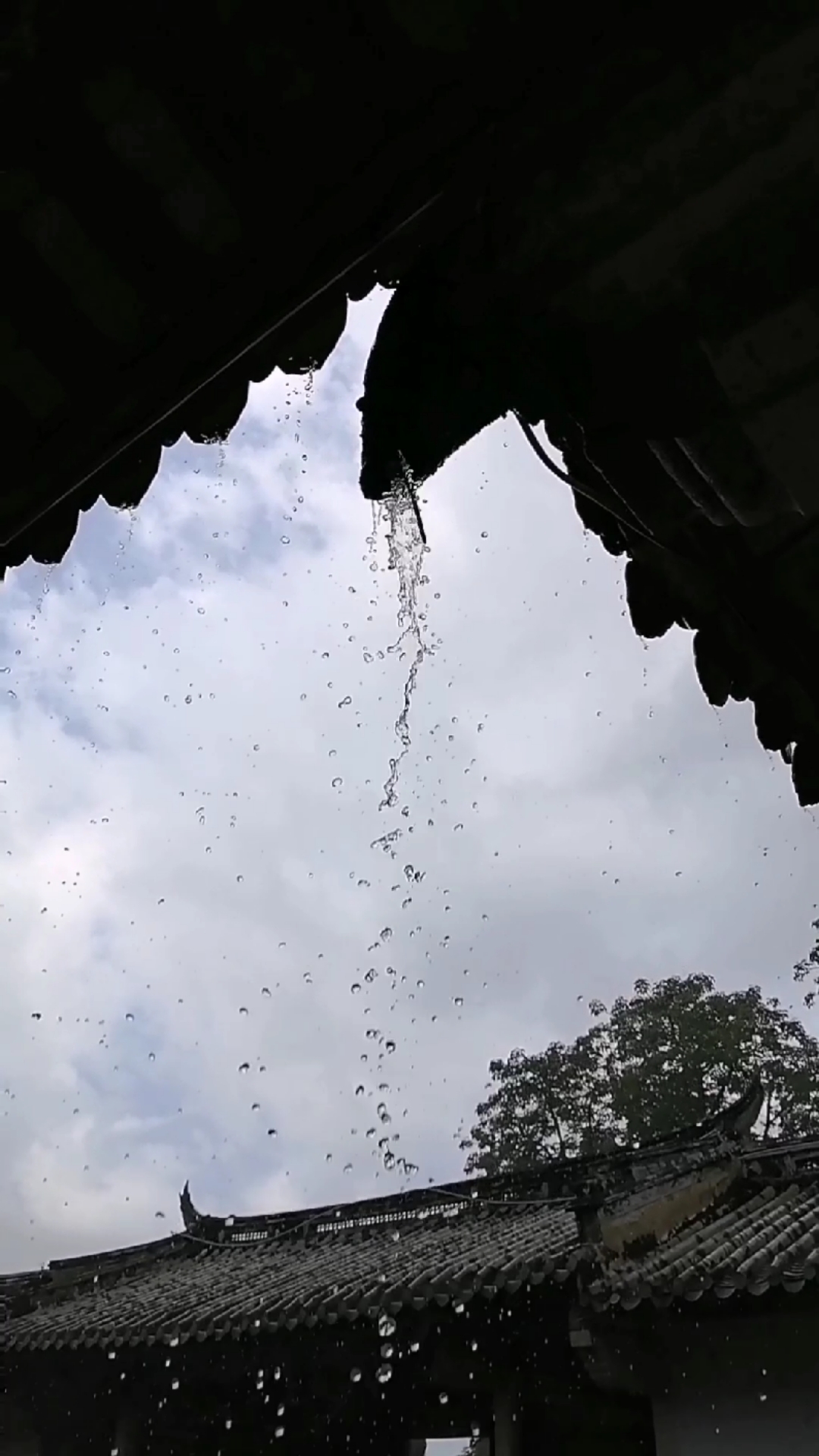潮汕古建筑美学四水归堂鲤鱼出水