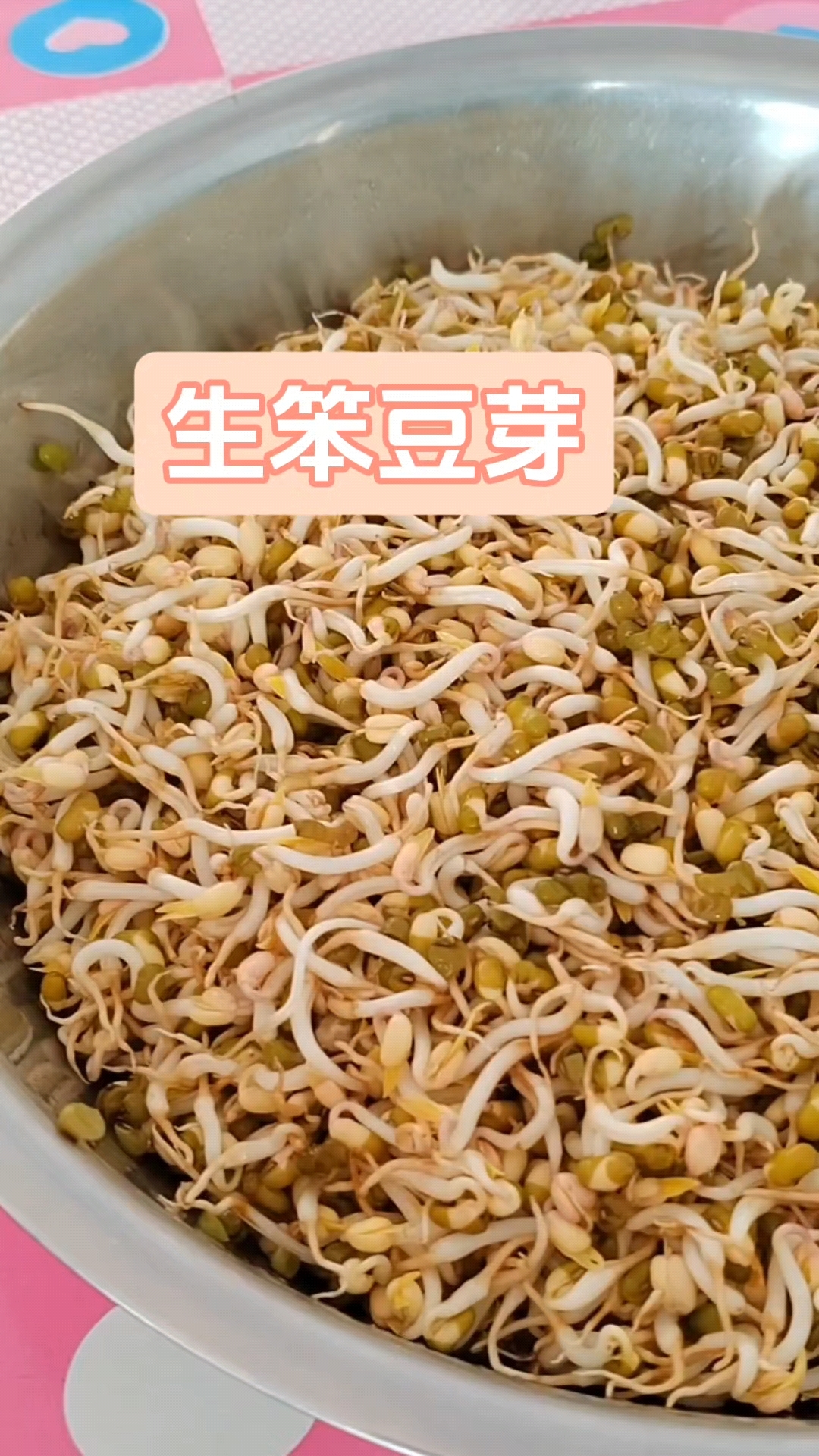 自己生的绿豆芽,我们叫它“笨豆芽”,芽不长但绿色健康
