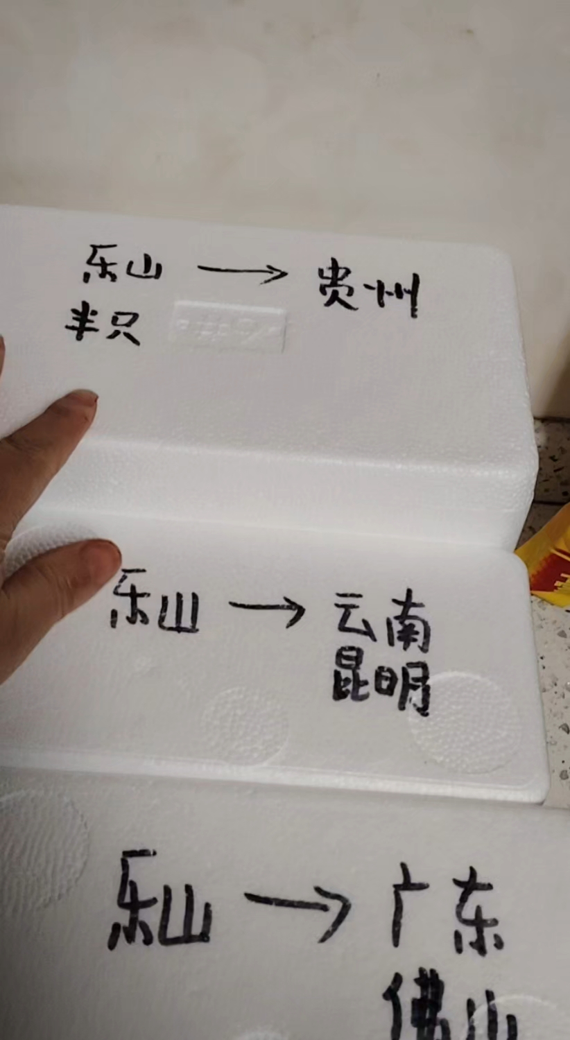 走向全国各地的犍为椒麻鸡