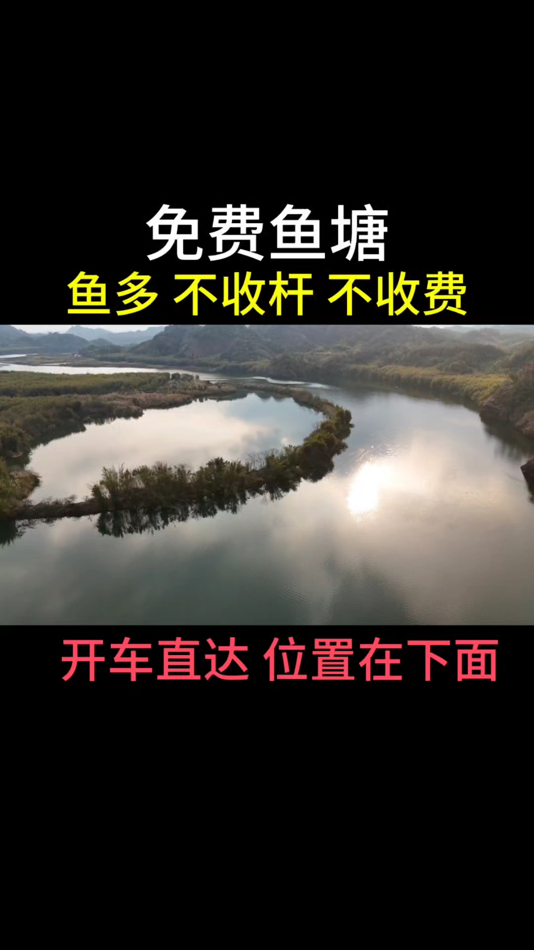 这次可以光明正大的在鱼塘钓鱼了!#钓点分享#钓点推荐#附近钓