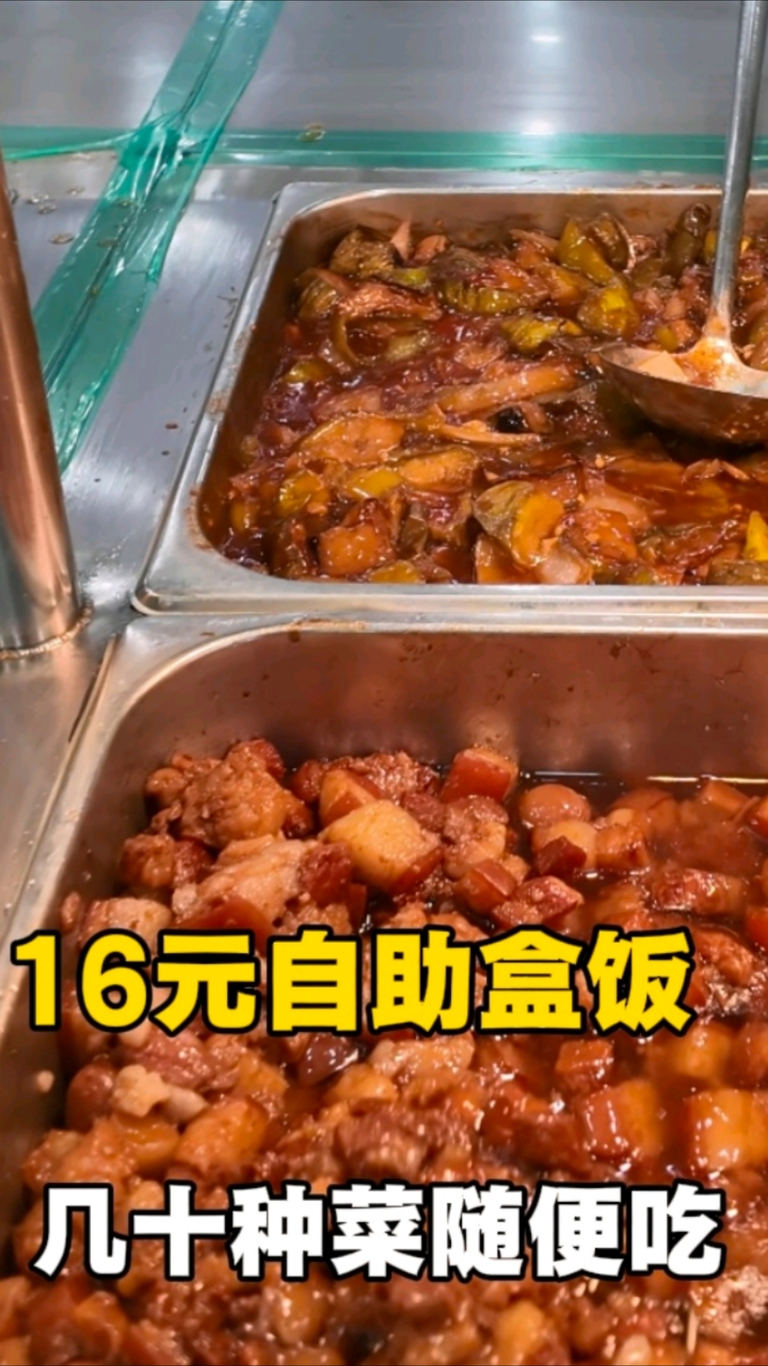 东北16元自助盒饭！
