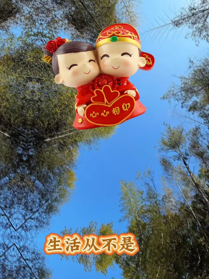 生活的心灵鸡汤