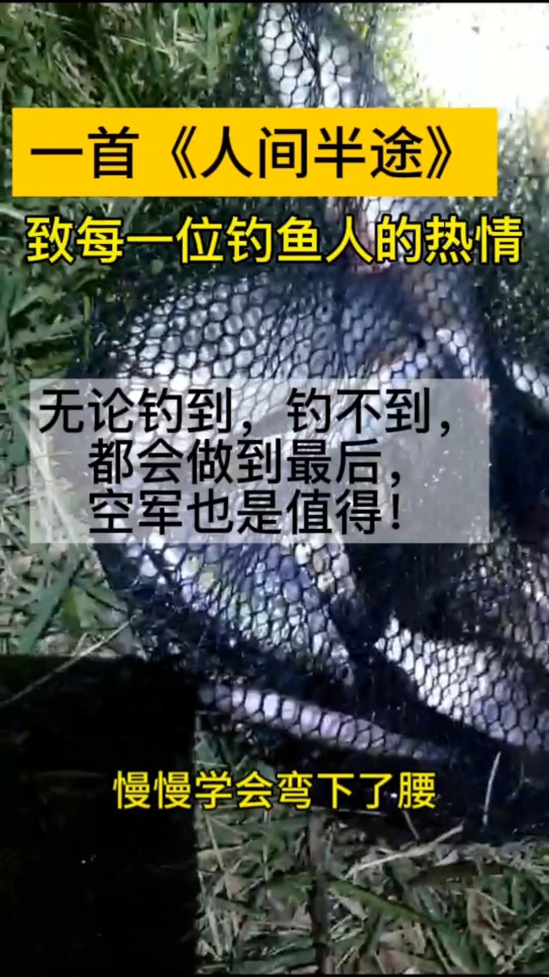 致钓鱼人的热情和执着,一首喜欢好听的歌曲送给大家!希望喜欢!