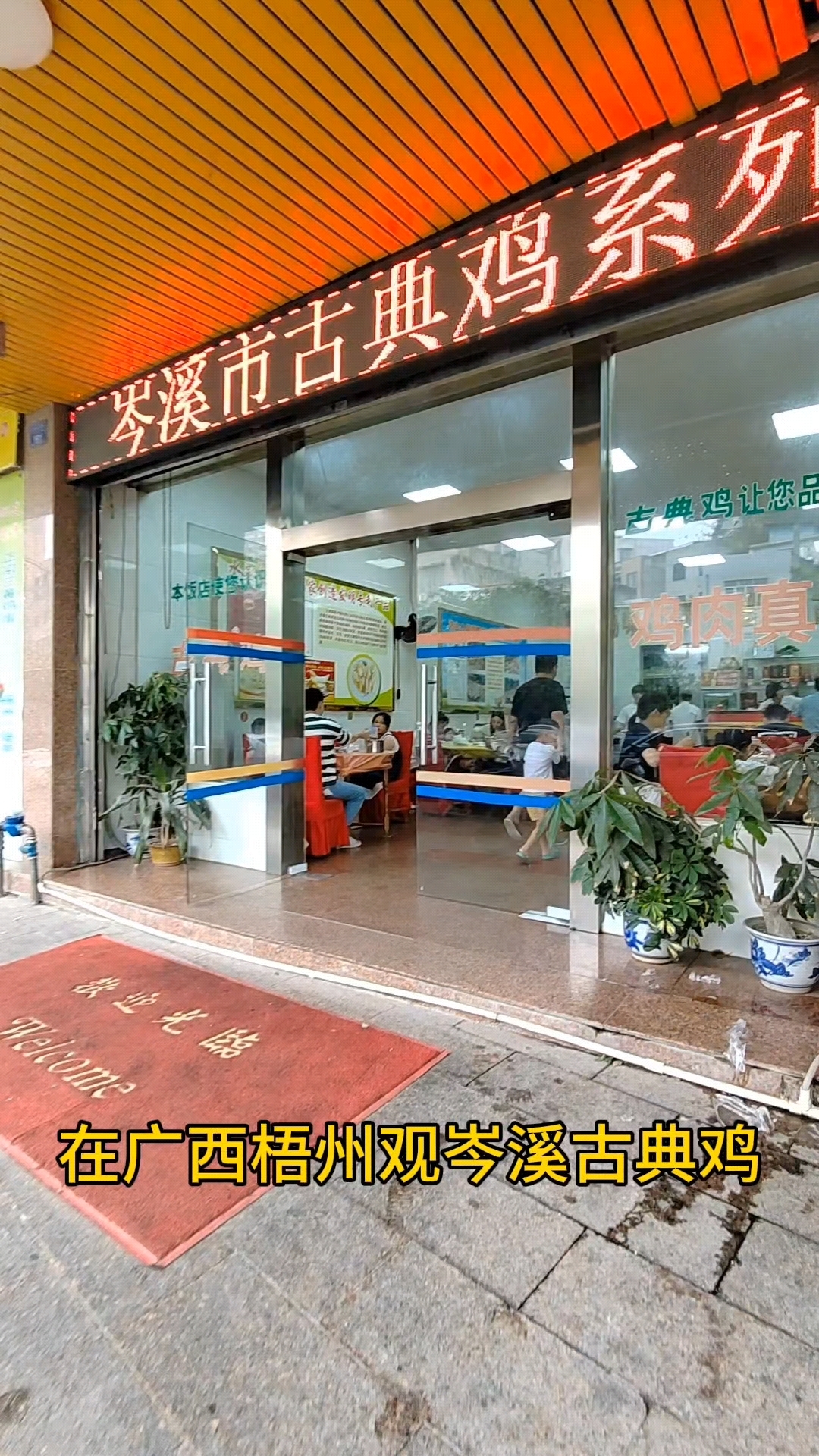 在广西梧州观岑溪古典鸡