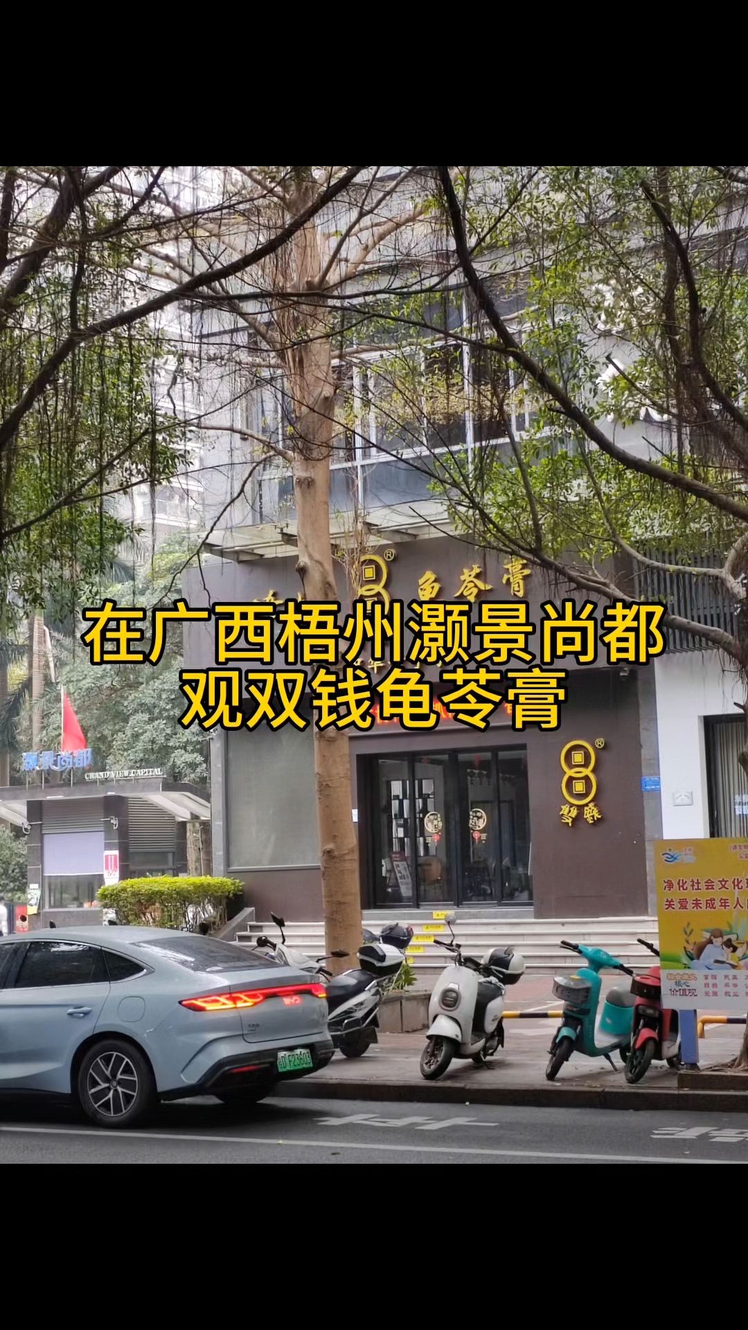 在广西梧州灏景尚都,观双钱龟苓膏