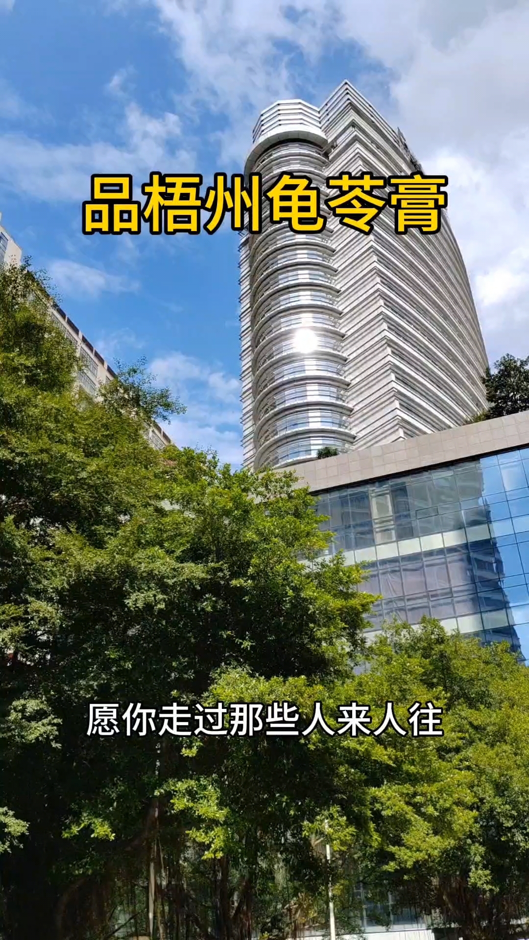 品广西梧州龟苓膏