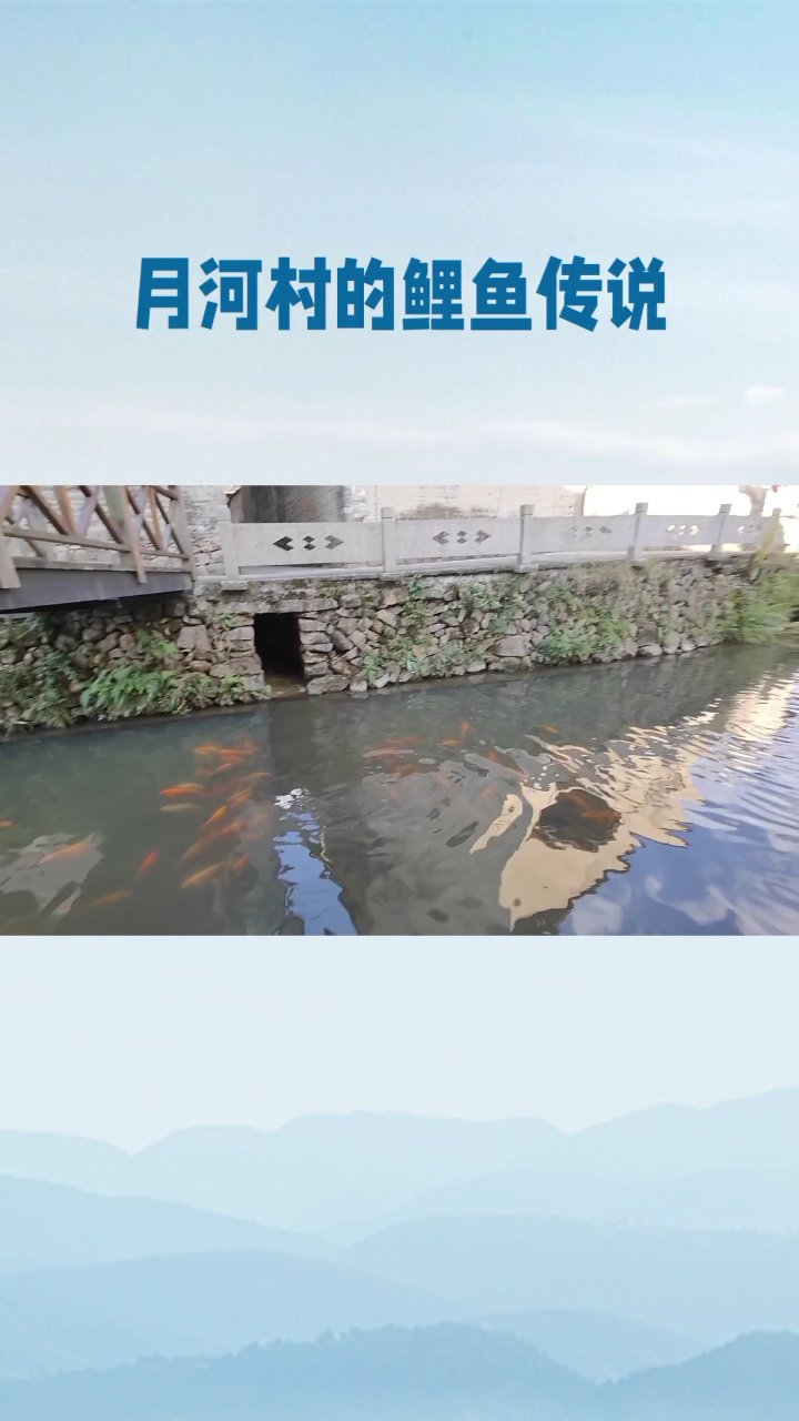 月河村金色鲤鱼传说