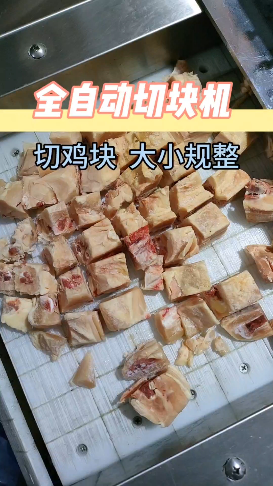 #全自动切块机#全自动剁骨机#商用切块机#切鸡块机#切块机