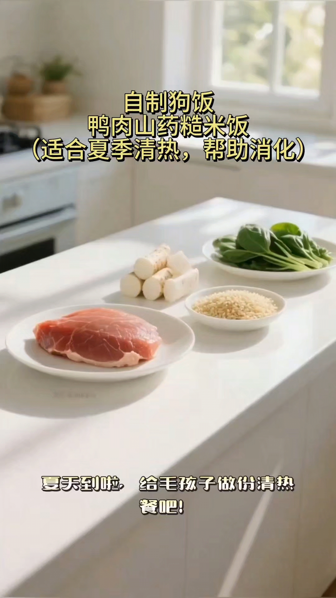自制狗饭,鸭肉山药糙米饭