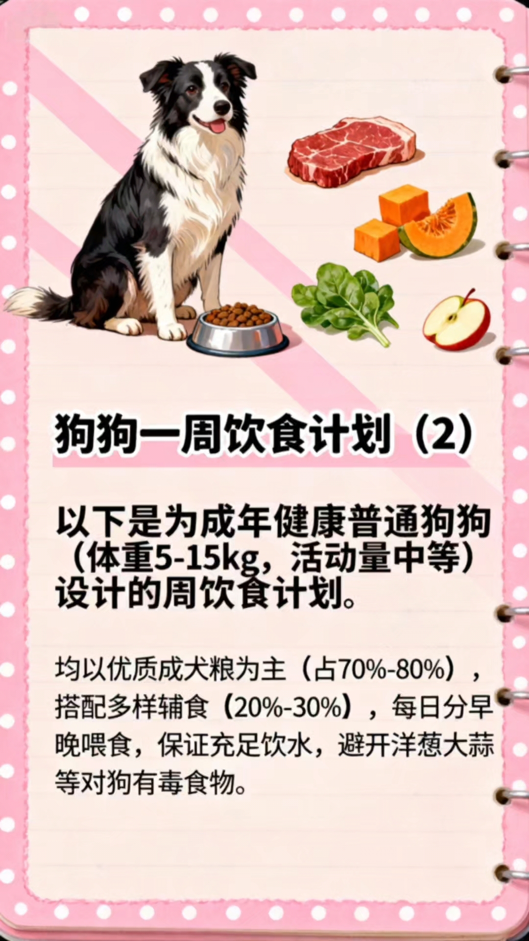 狗狗一周饮食计划(2),狗狗配餐,狗狗营养食谱