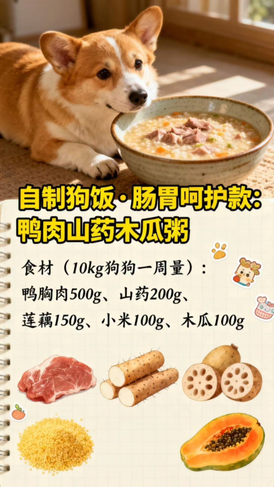 自制狗饭，肠胃呵护款：鸭肉山药木瓜粥
