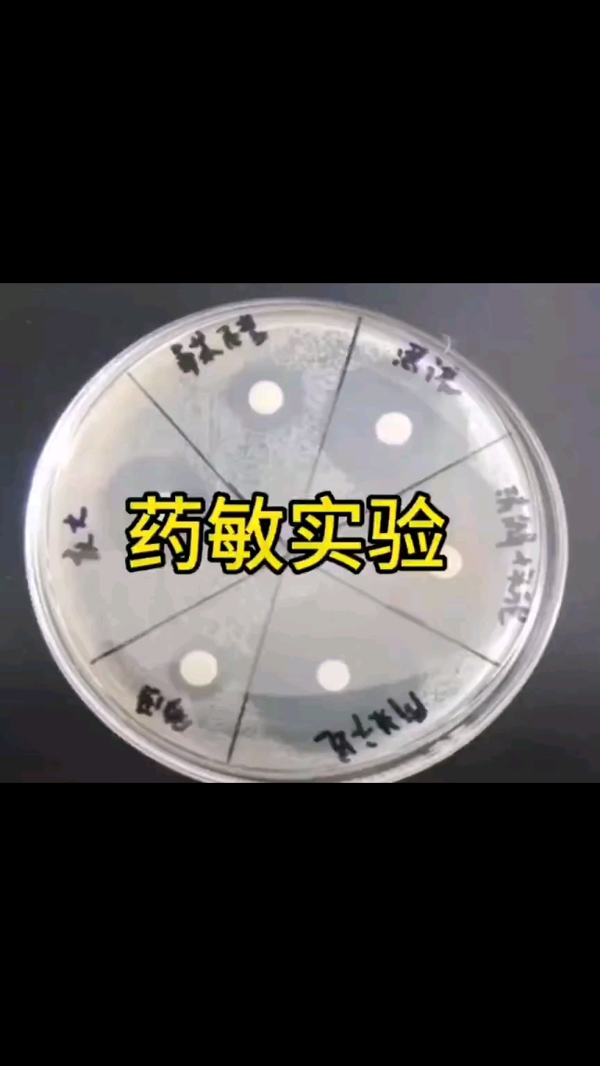 鸟病诊断治疗,药敏实验!