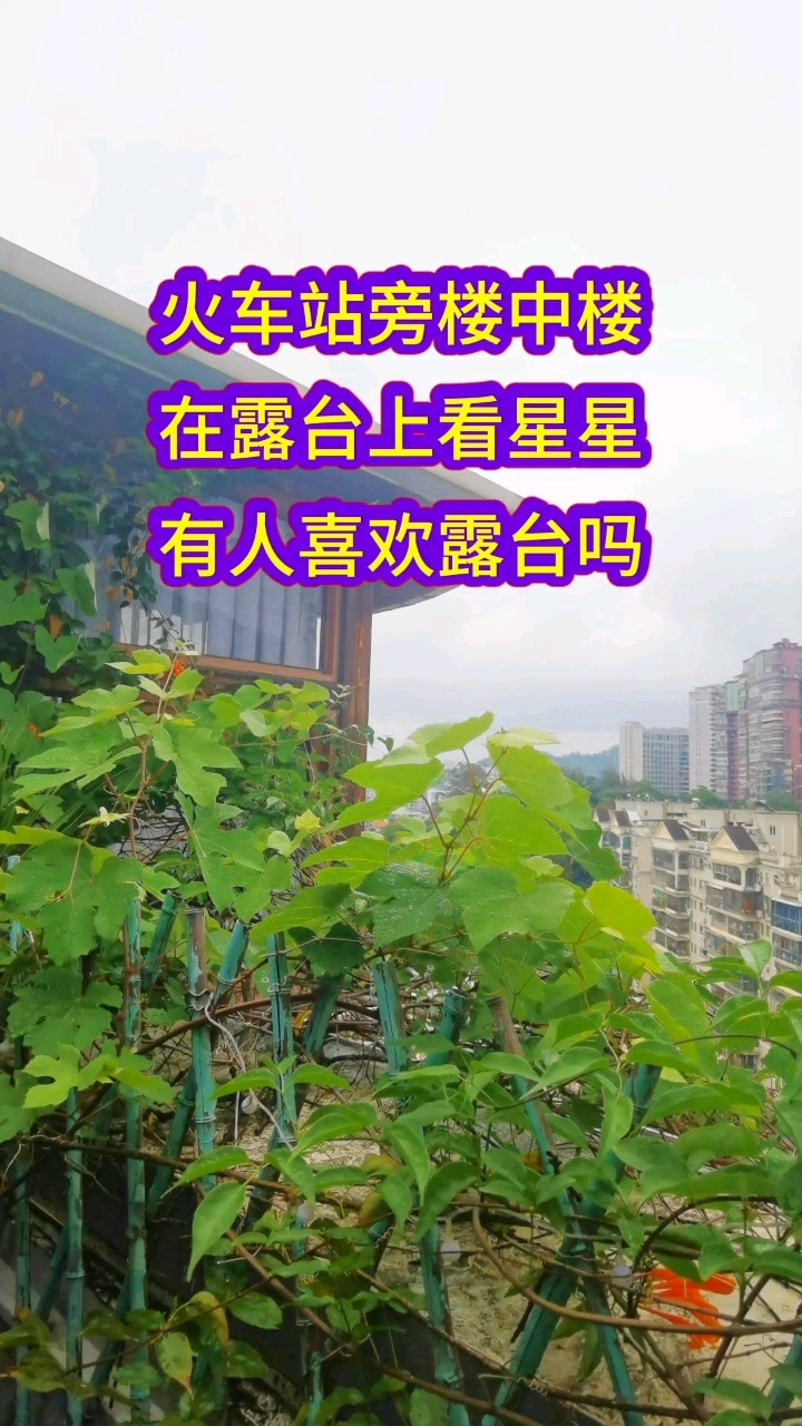 厦门火车站楼中楼。那100平露台精装修