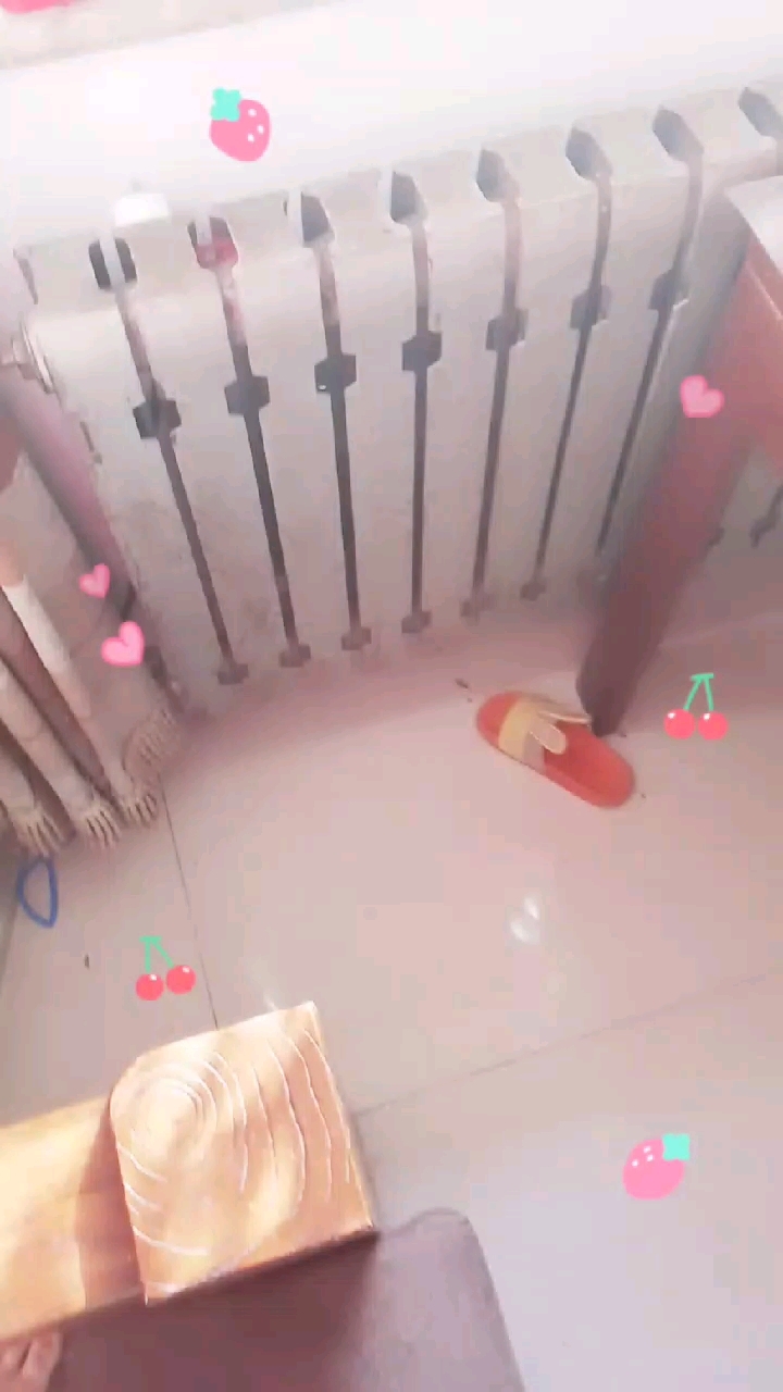 芦丁鸡版的各种叫声。包括青蛙叫。