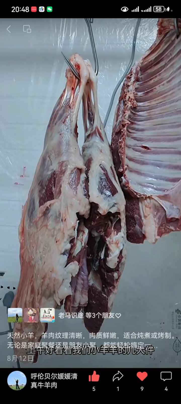 内蒙古呼伦贝尔媛媛清真牛羊肉