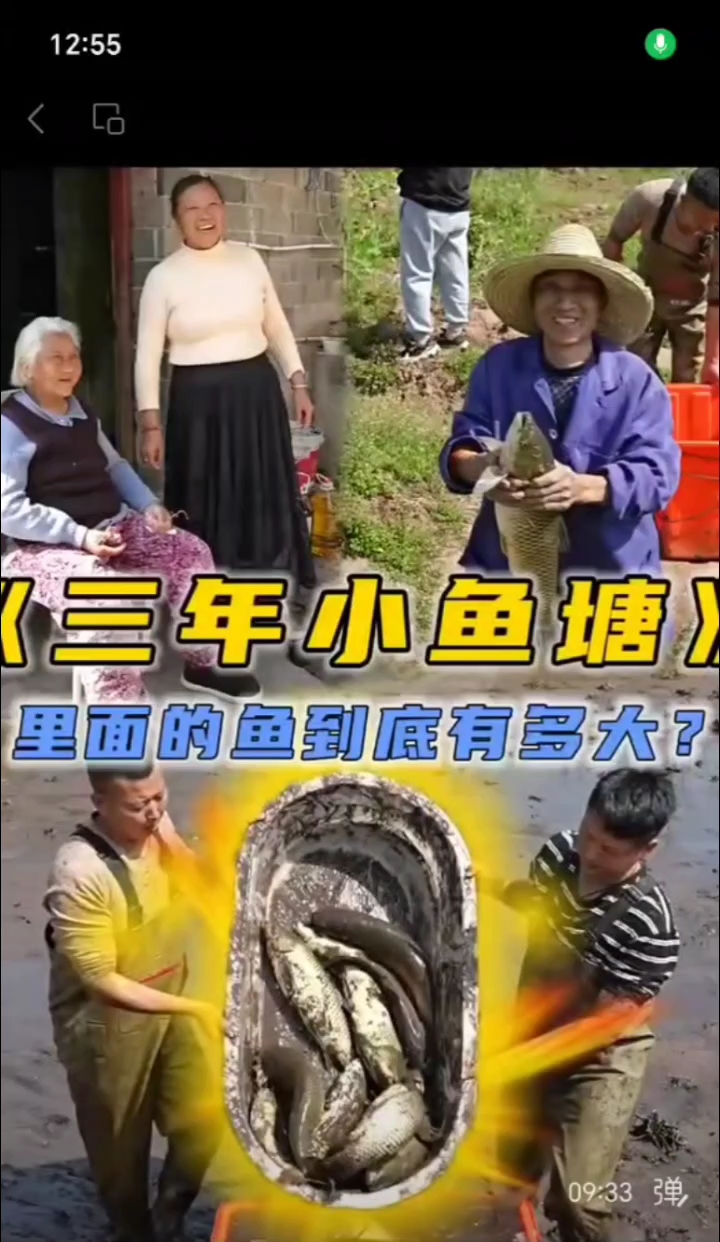 分享视频