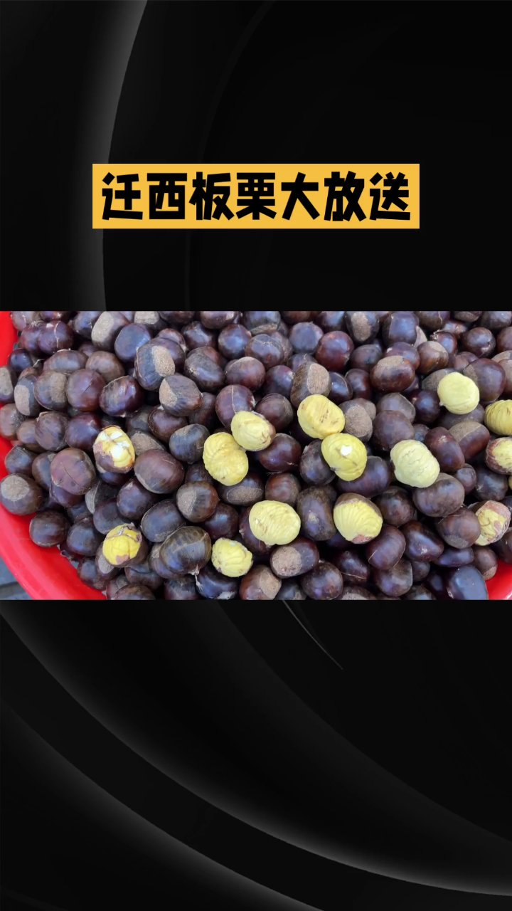 分享视频