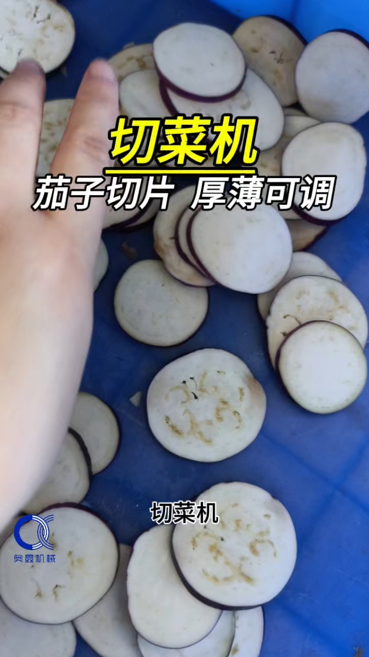茄子切片机，豆角切段机，大型切菜机，韭菜切碎机，葱花切菜机