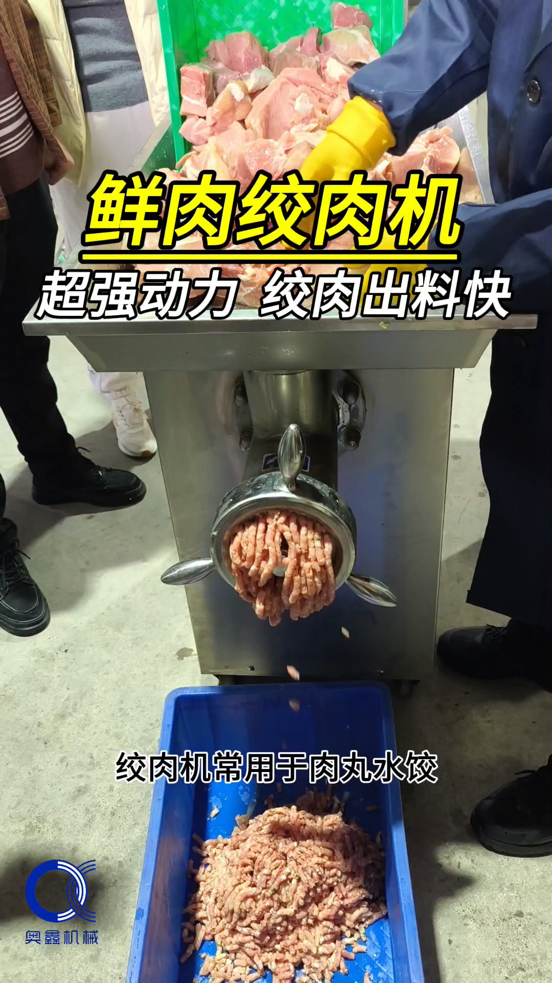 鲜肉绞肉机,猪肉绞肉机,冻肉绞肉机,商用冻肉绞肉机厂家