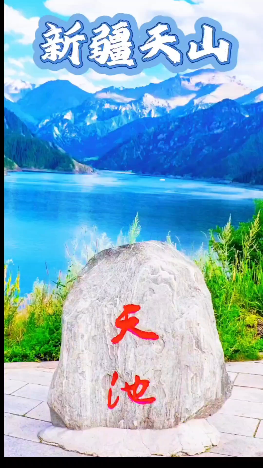 援疆助农,天山融雪润稻田,鸭逐稻香自在闲!