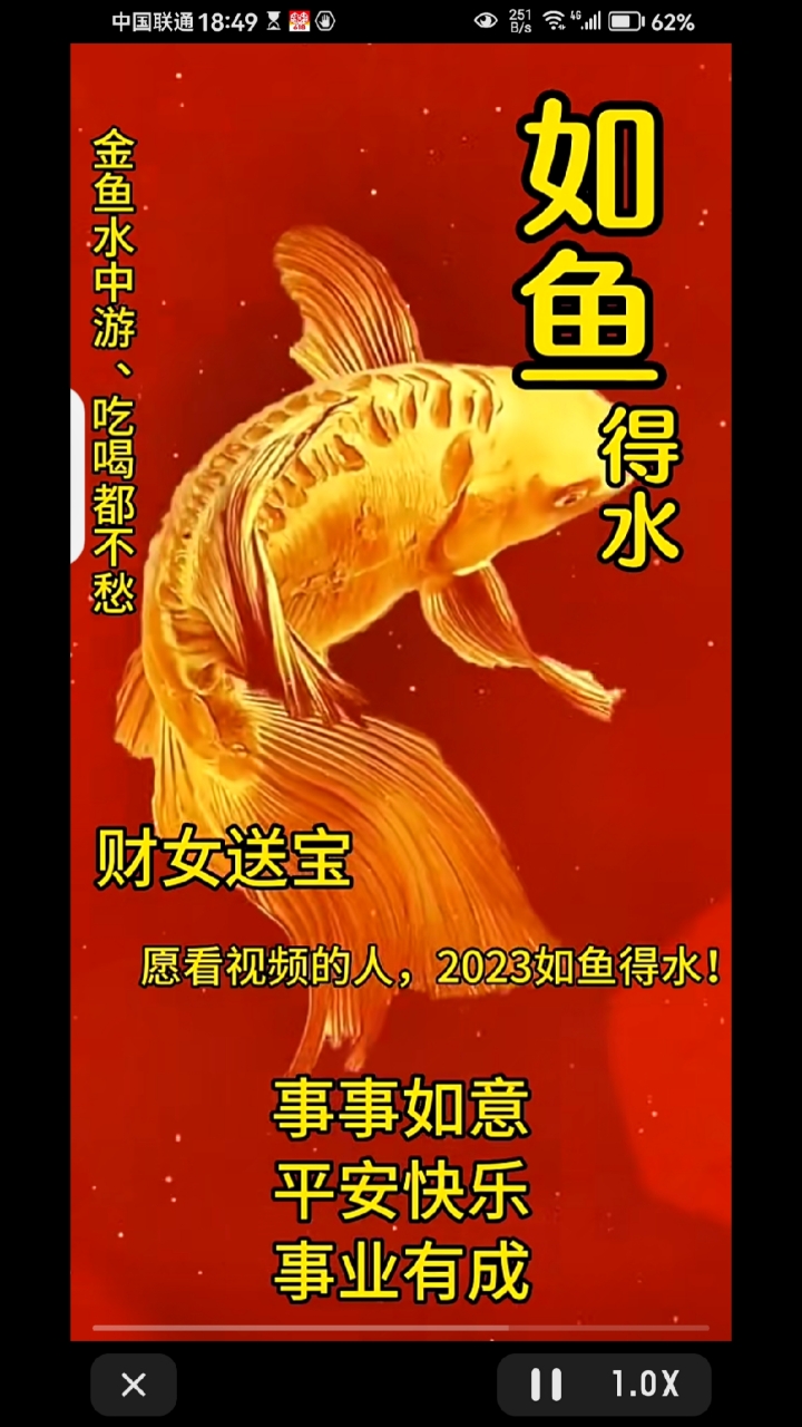 看到鲤鱼跳龙门发大财