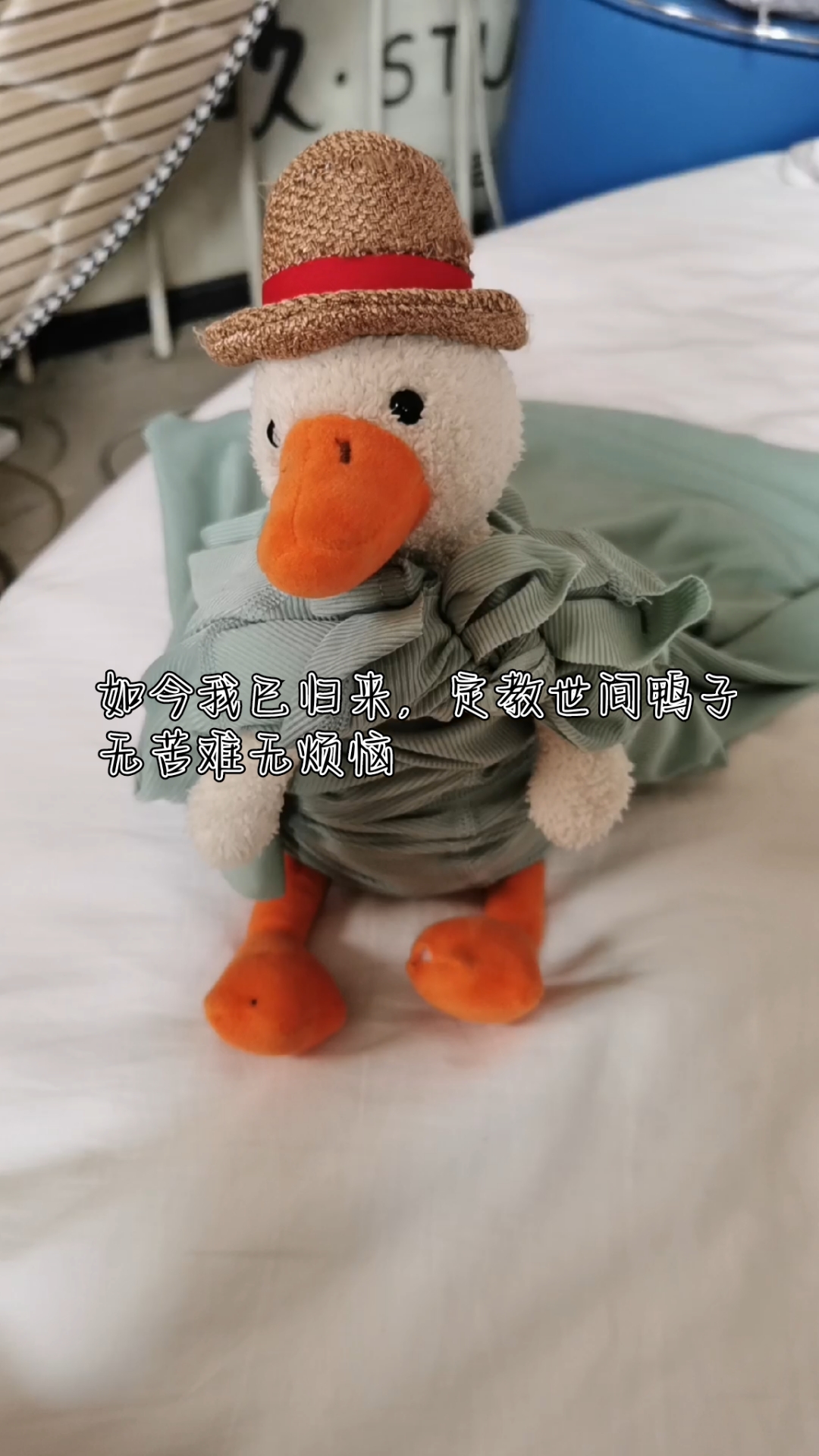 玩抽象博主,其实本人也很抽象,网上小衣服给鸭子穿英雄装