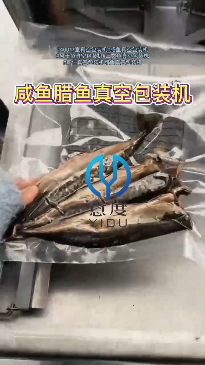 400单室真空包装机，咸鱼、鲅鱼、腊鱼、鱼干等进行真空包装，
